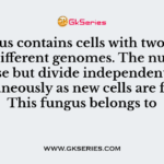 A fungus contains cells with two nuclei from different genomes. The nuclei do not fuse but divide independently and simultaneously as new cells are formed. This fungus belongs to