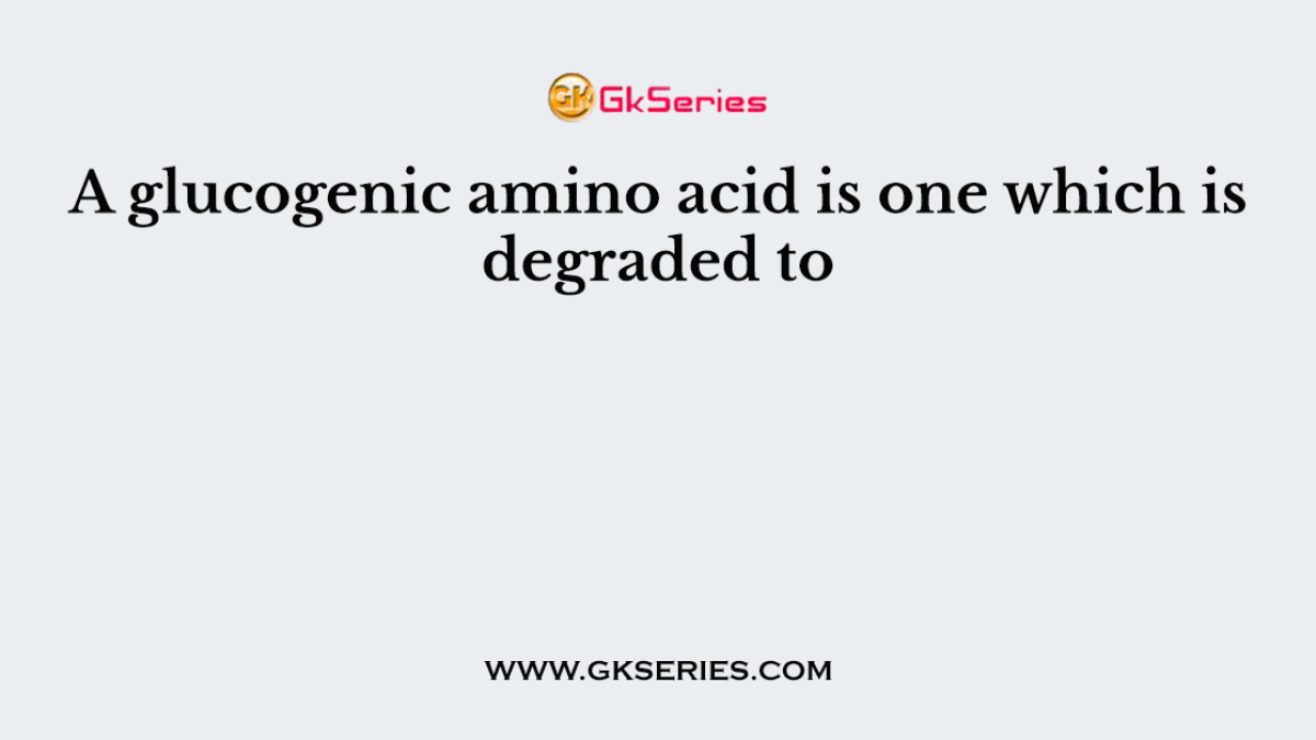 A glucogenic amino acid is one which is degraded to