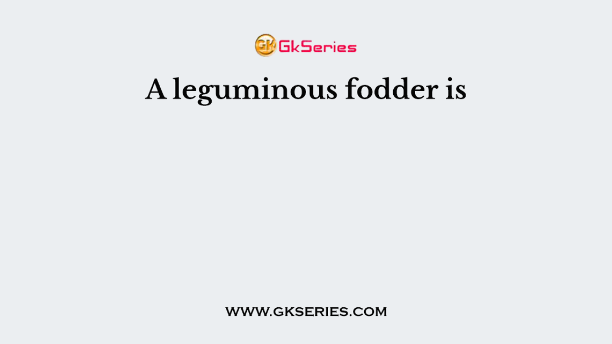 A leguminous fodder is