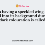 A moth having a speckled wing, able to blend into its background due to its dark colouration is called