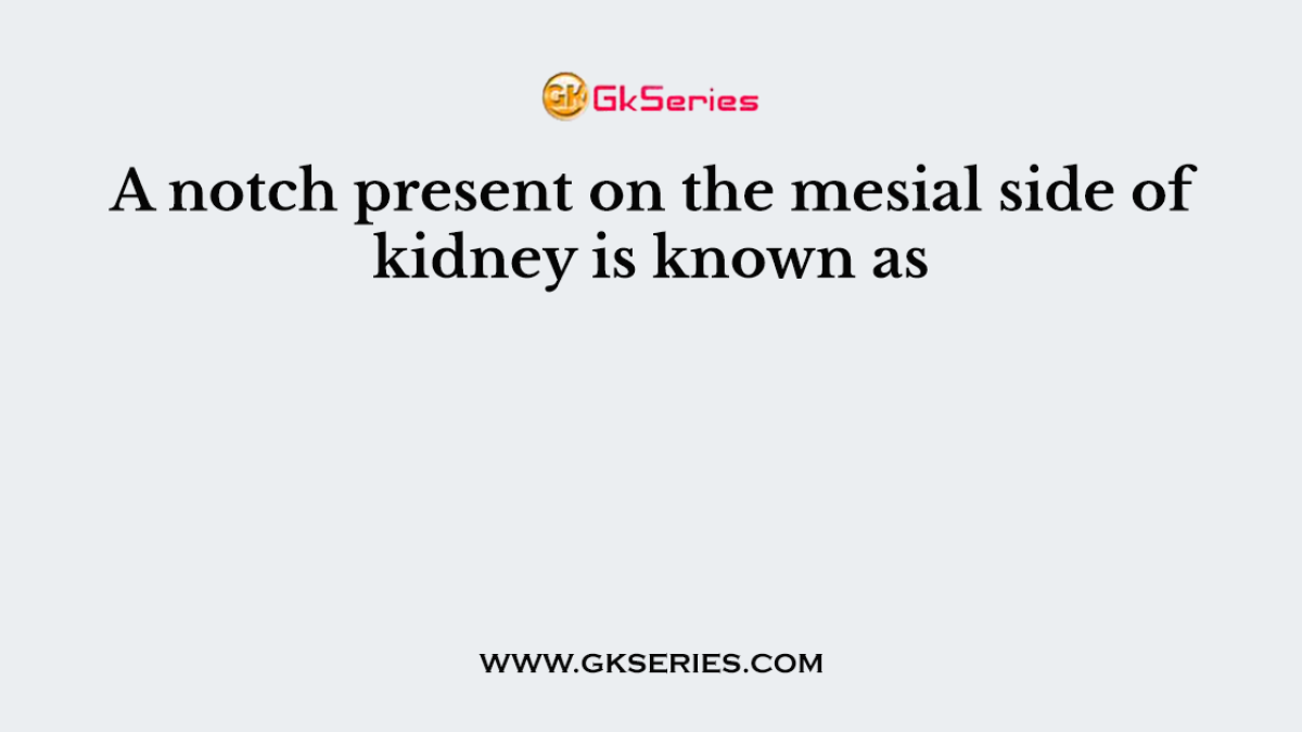 A notch present on the mesial side of kidney is known as