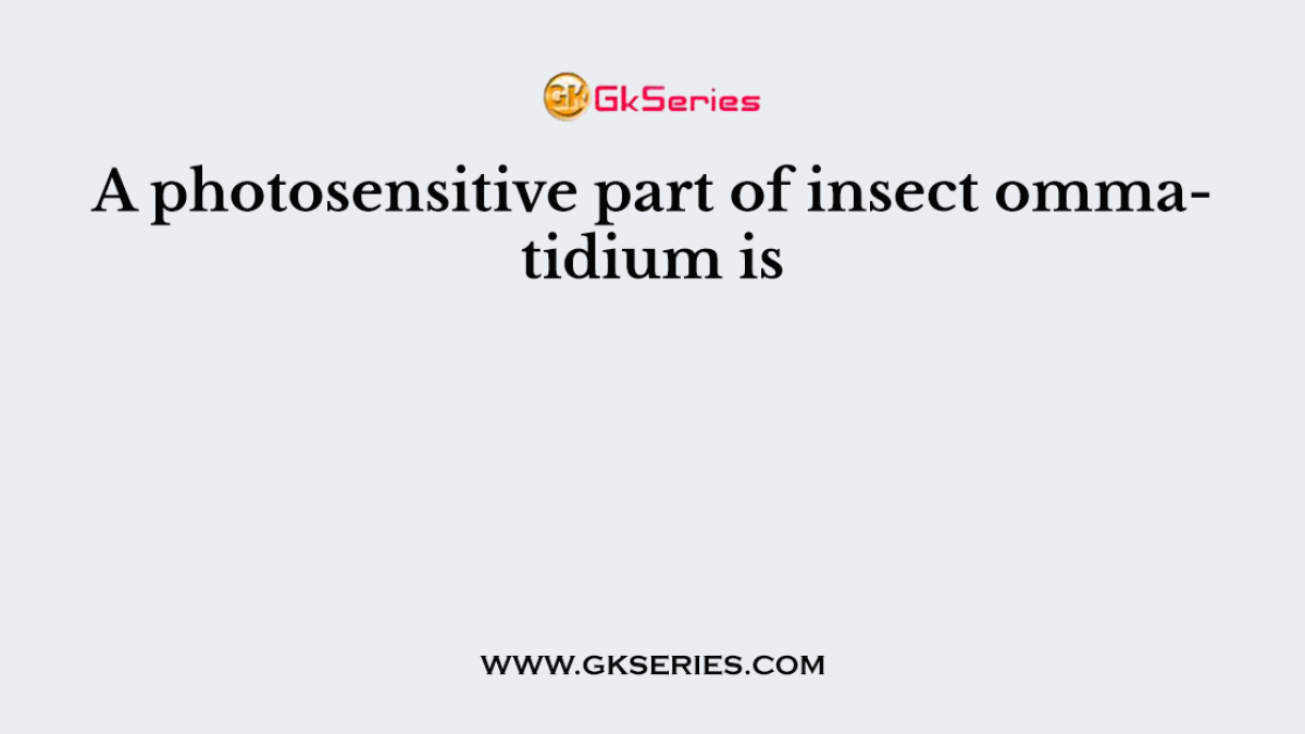 A photosensitive part of insect ommatidium is