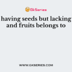 A plant having seeds but lacking flowers and fruits belongs to