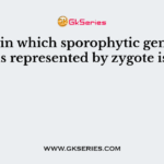 A plant in which sporophytic generation is represented by zygote is
