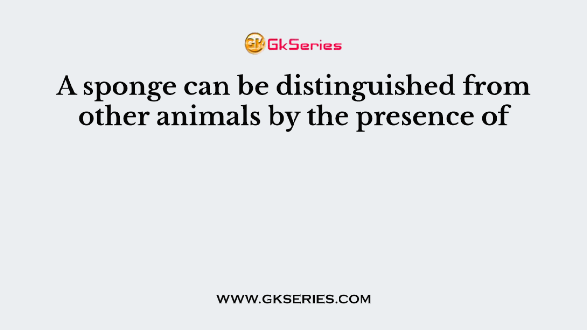 A sponge can be distinguished from other animals by the presence of