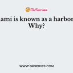 A tsunami is known as a harbor wave. Why?