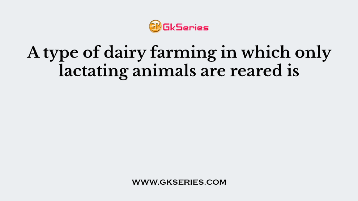 A type of dairy farming in which only lactating animals are reared is