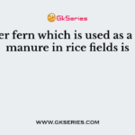 A water fern which is used as a green manure in rice fields is