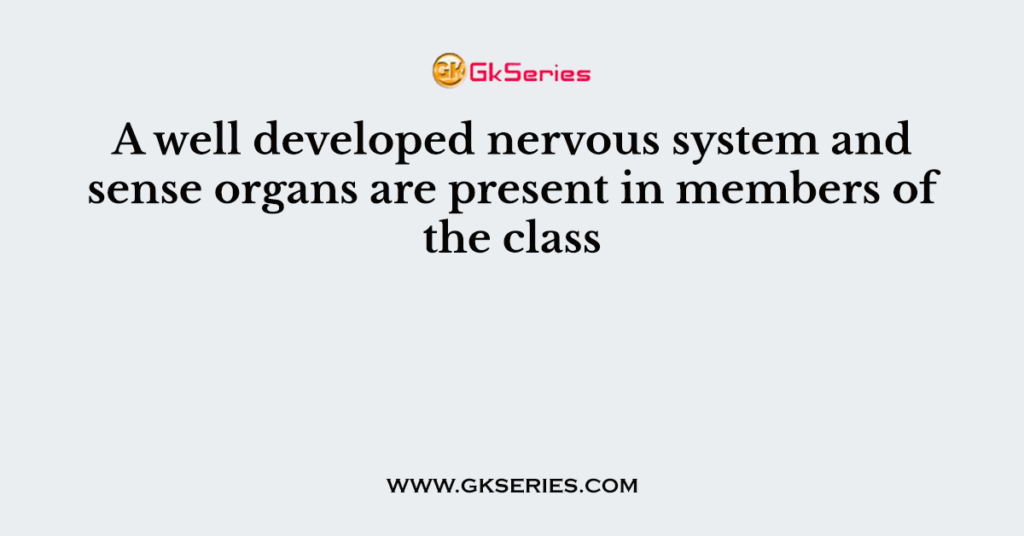 A well developed nervous system and sense organs are present in members of the class
