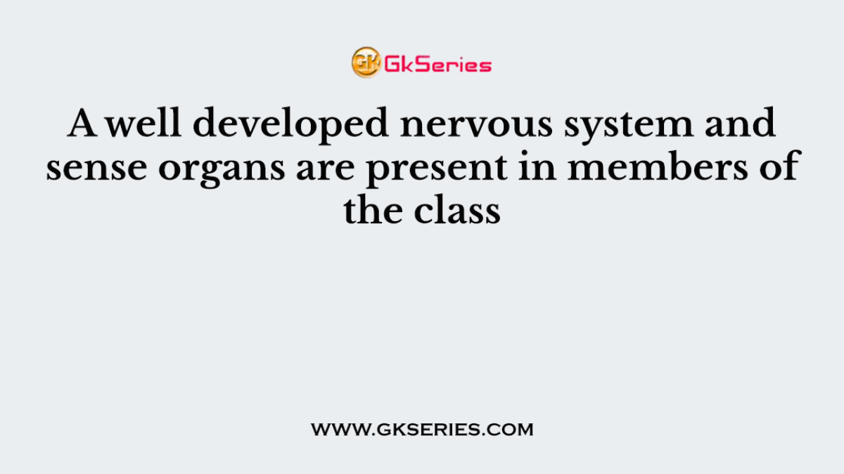 A well developed nervous system and sense organs are present in members of the class