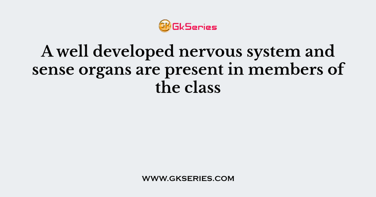 A well developed nervous system and sense organs are present in members of the class