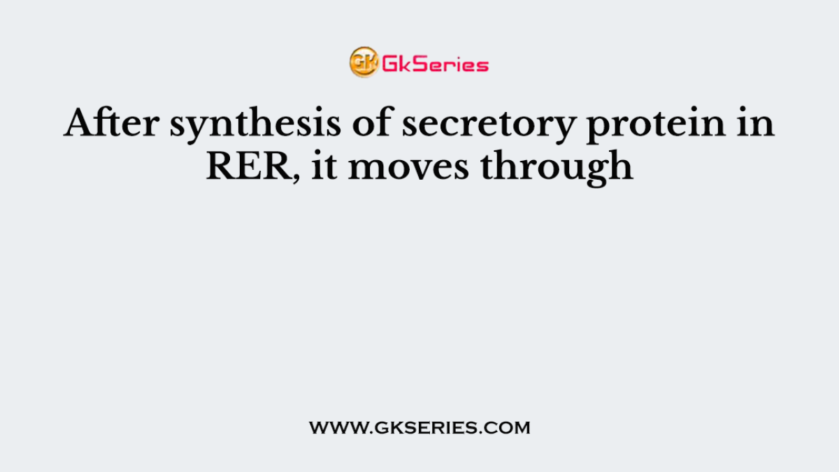 After synthesis of secretory protein in RER, it moves through