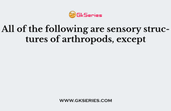 All of the following are sensory structures of arthropods, except