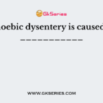 Amoebic dysentery is caused by ___________