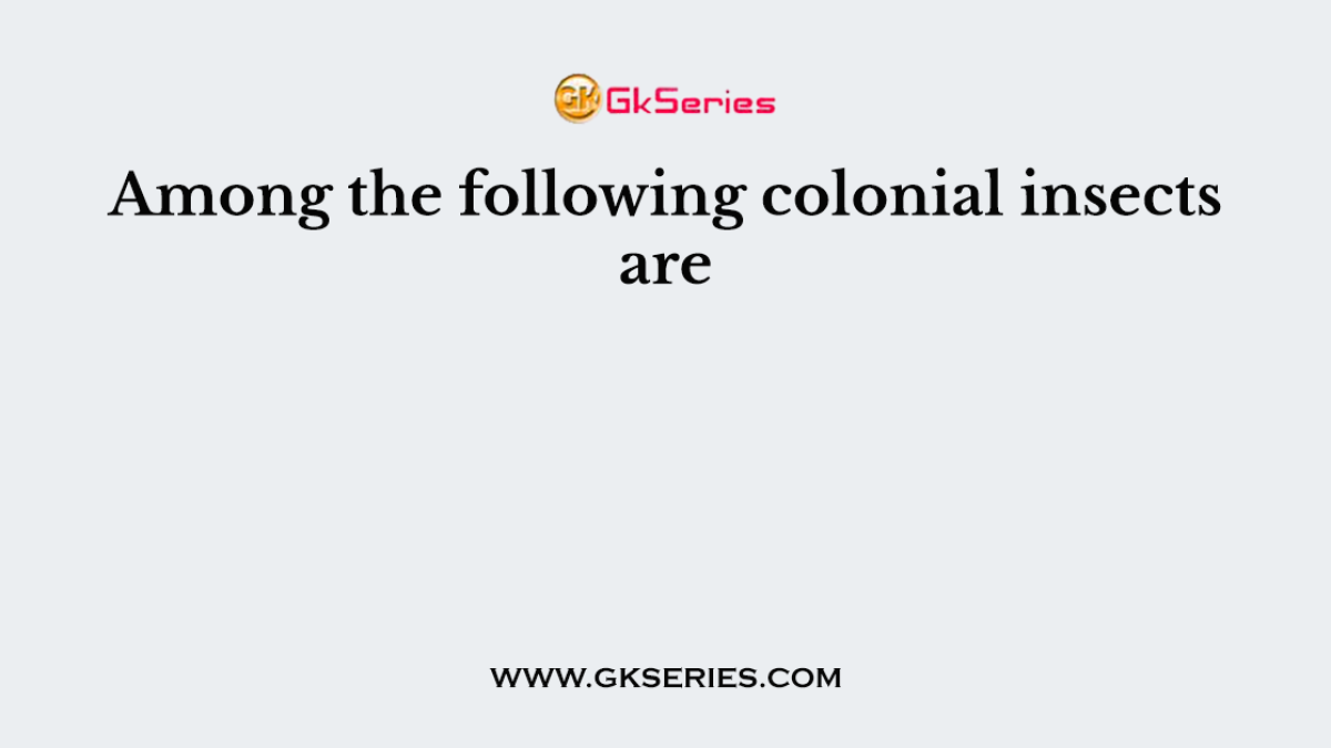 Among the following colonial insects are