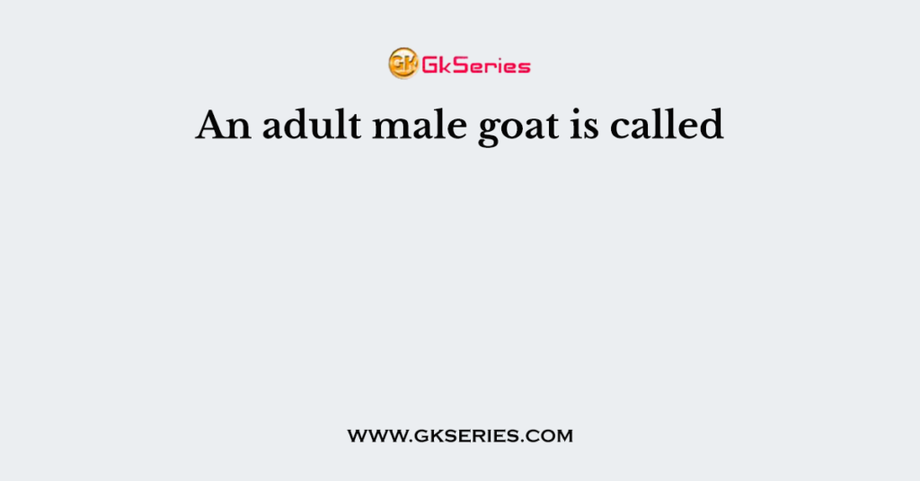 An adult male goat is called