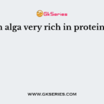 An alga very rich in protein is