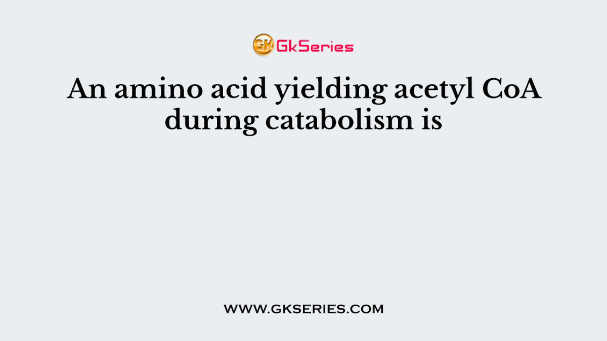 An amino acid yielding acetyl CoA during catabolism is