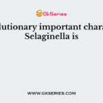 An evolutionary important character of Selaginella is