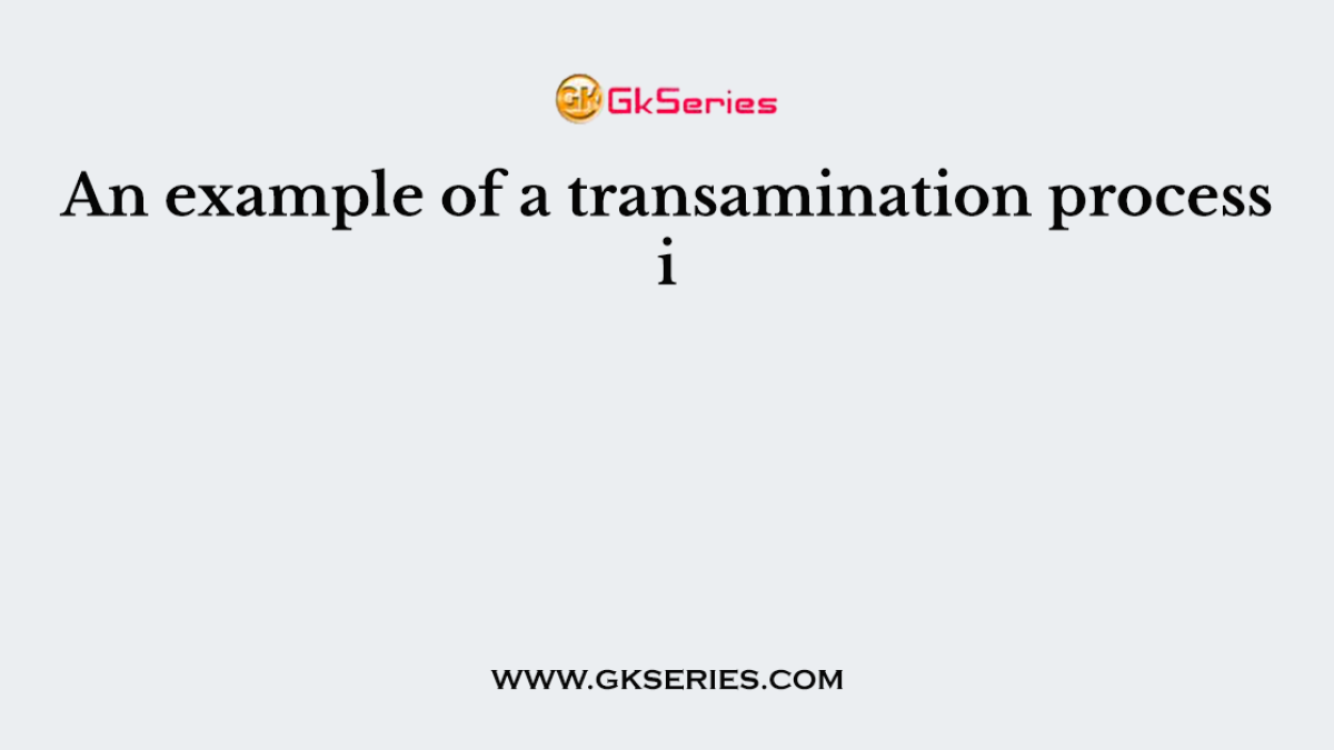 An example of a transamination process i