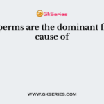Angiosperms are the dominant flora because of