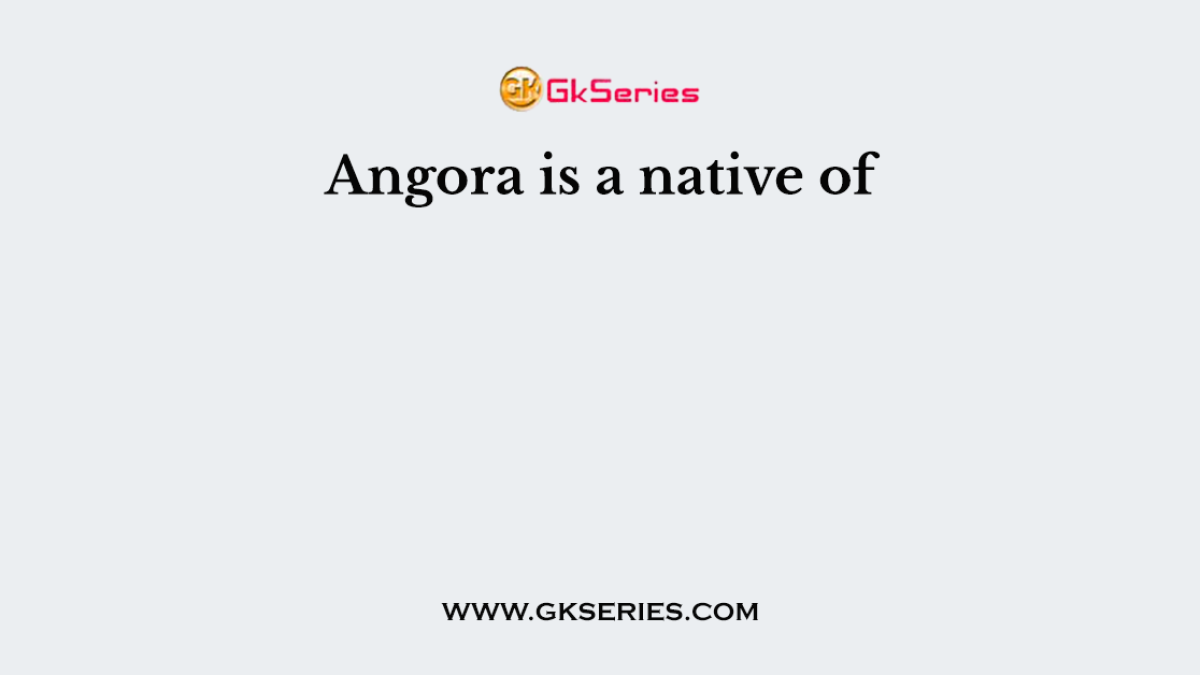 Angora is a native of