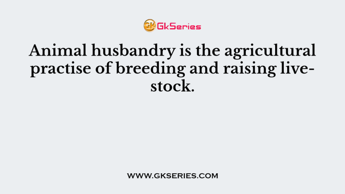 Animal husbandry is the agricultural practise of breeding and raising livestock.