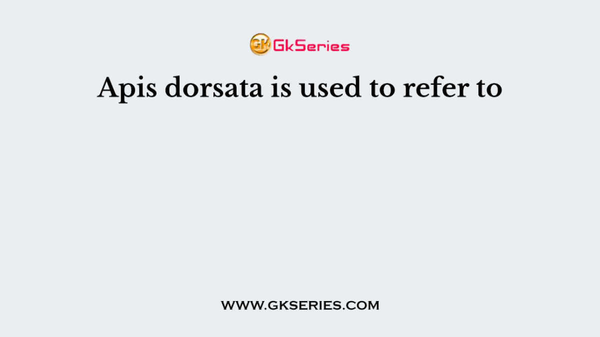 Apis dorsata is used to refer to