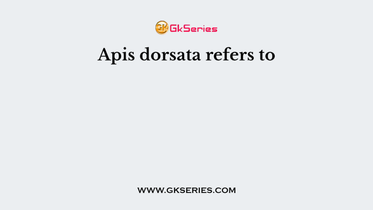 Apis dorsata refers to