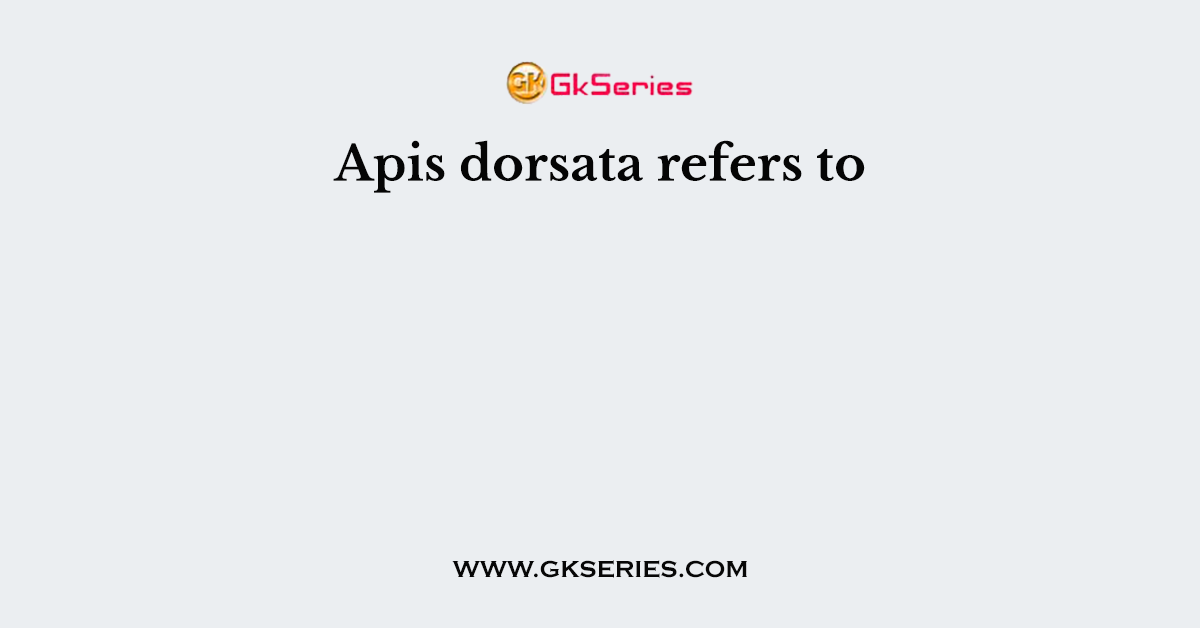 Apis dorsata refers to