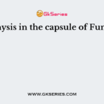 Apophysis in the capsule of Funaria is