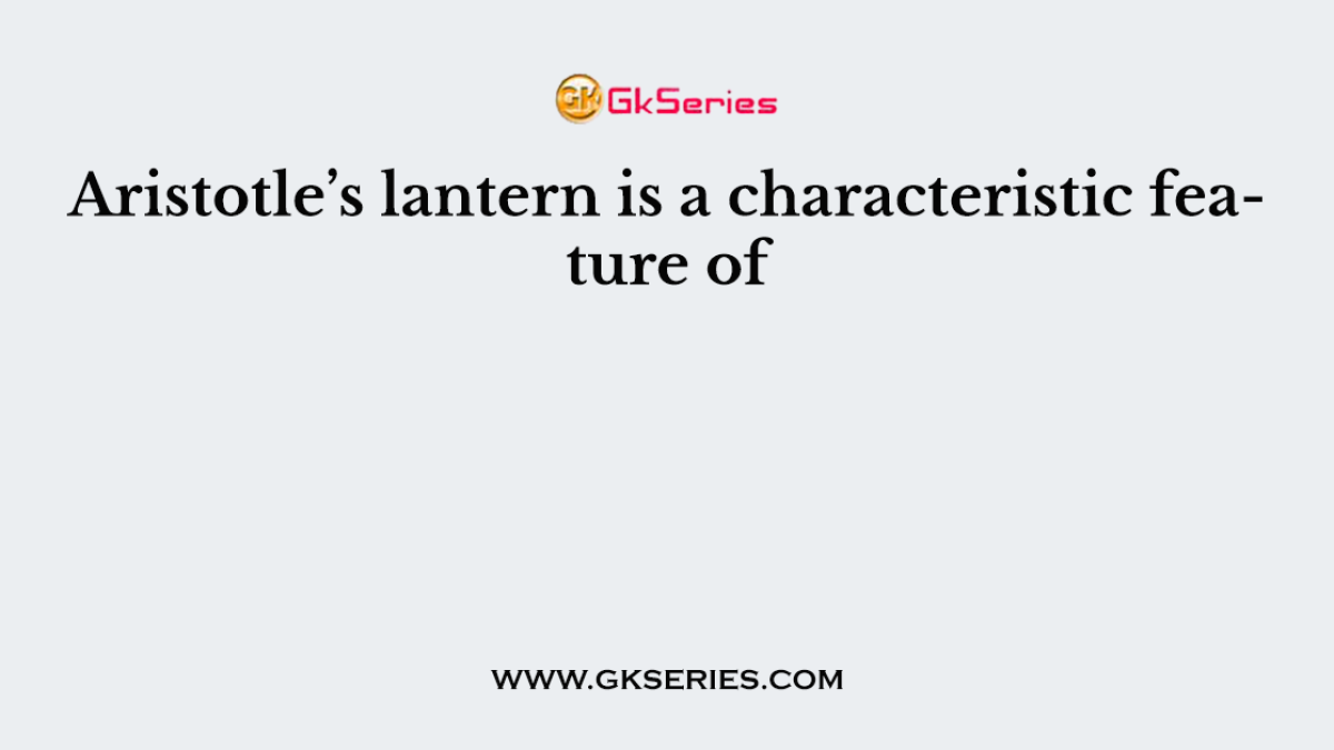 Aristotle’s lantern is a characteristic feature of