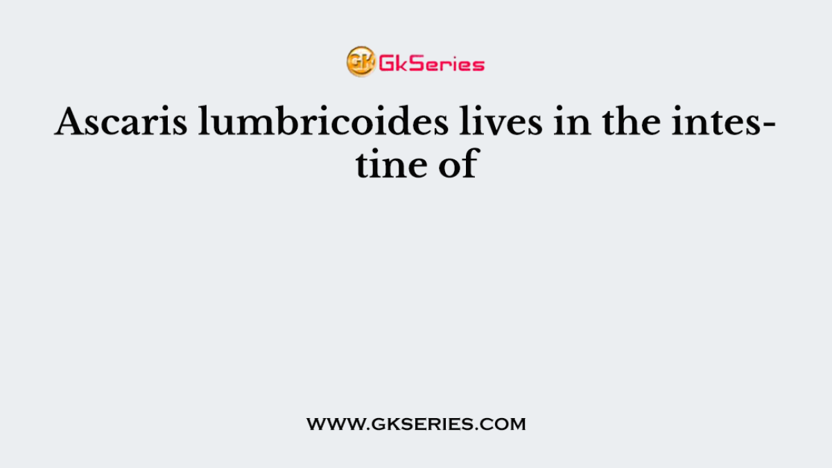 Ascaris lumbricoides lives in the intestine of