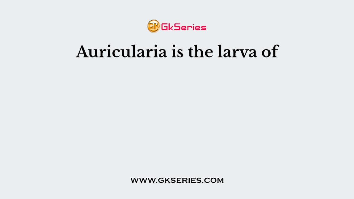 Auricularia is the larva of