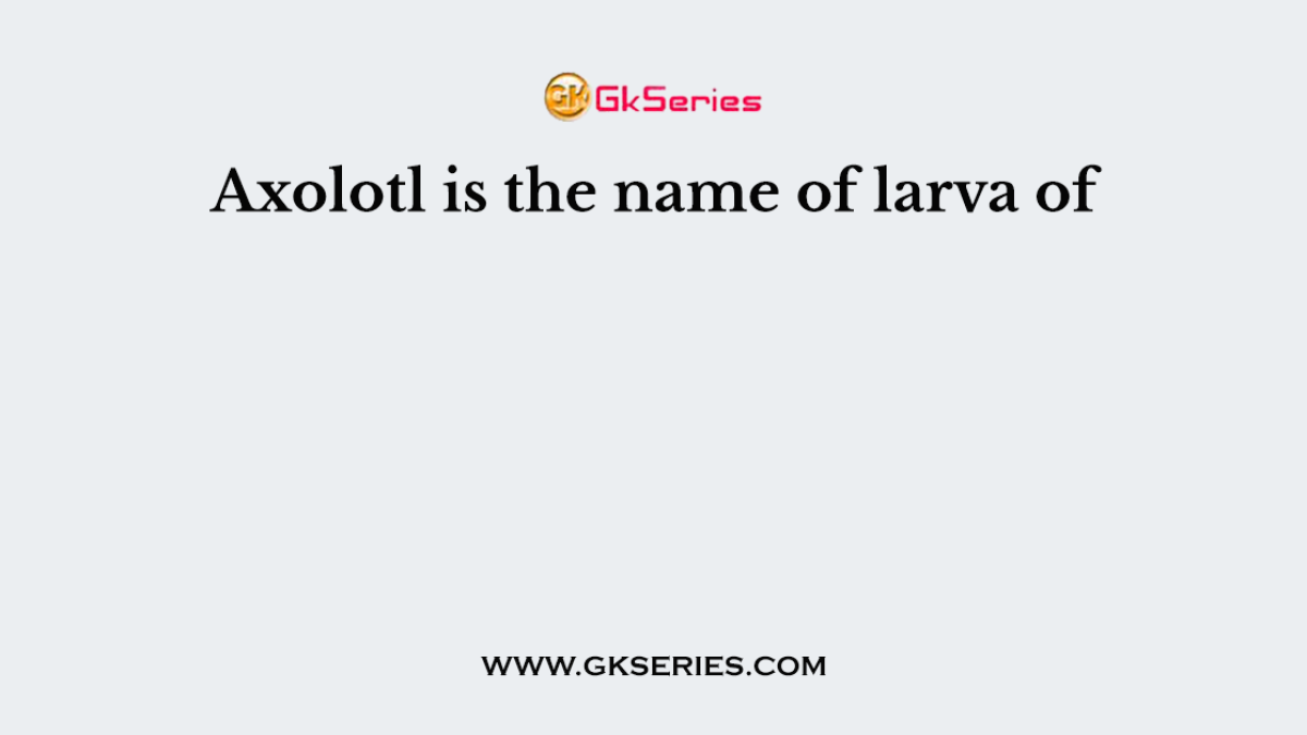 Axolotl is the name of larva of