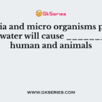 Bacteria and micro organisms present in the water will cause _________ in human and animals