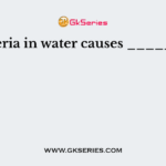 Bacteria in water causes ________