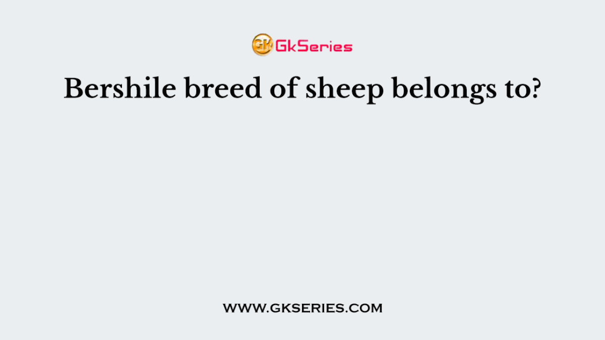 Bershile breed of sheep belongs to?