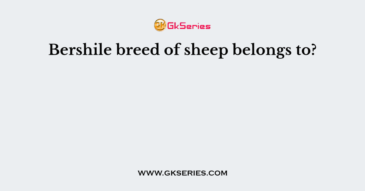 Bershile breed of sheep belongs to?
