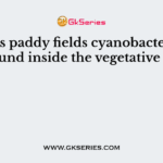 Besides paddy fields cyanobacteria are also found inside the vegetative part of