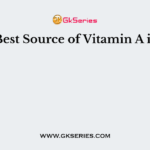 Best Source of Vitamin A is