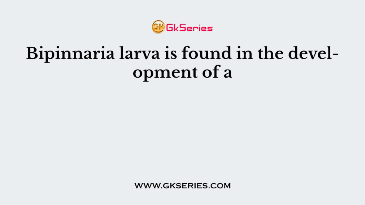 Bipinnaria larva is found in the development of a