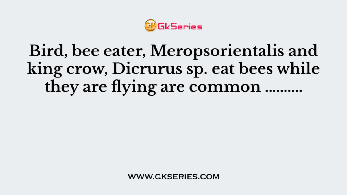 Bird, bee eater, Meropsorientalis and king crow, Dicrurus sp. eat bees while they are flying are common ……….