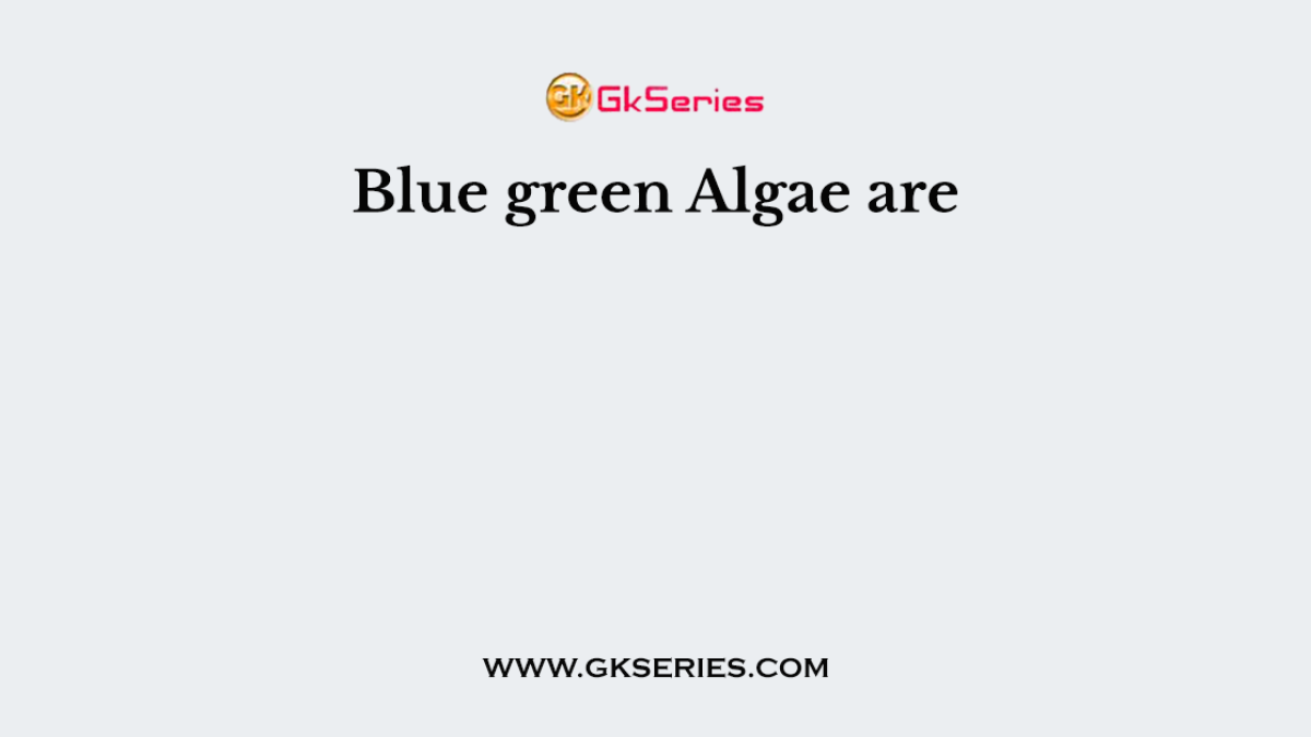 Blue green Algae are