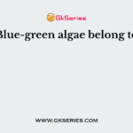 Blue-green algae belong to