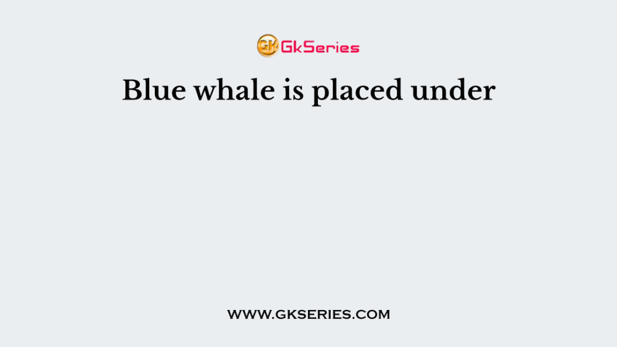 Blue whale is placed under