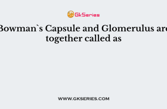 Bowman`s Capsule and Glomerulus are together called as