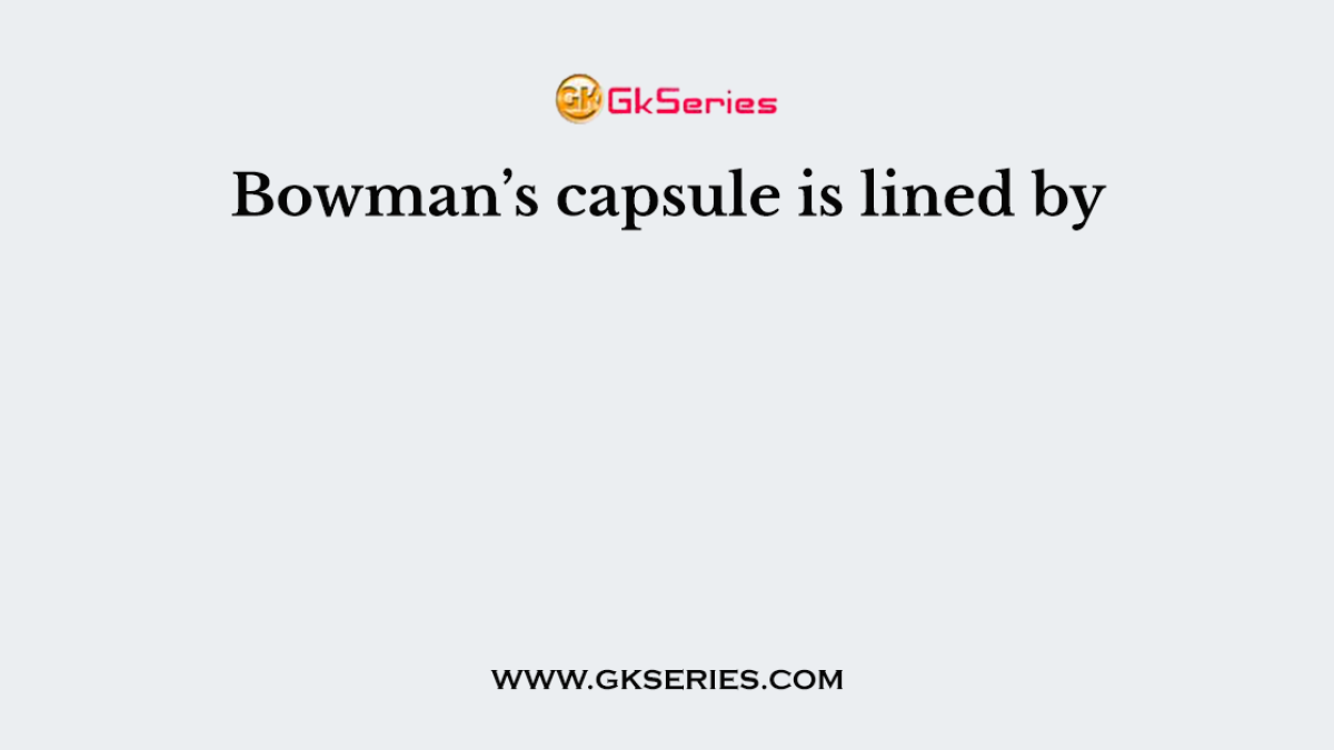 Bowman’s capsule is lined by