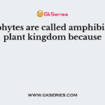 Bryophytes are called amphibians of plant kingdom because
