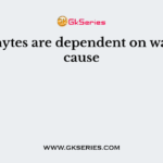Bryophytes are dependent on water because